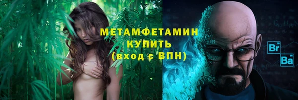шишки Горно-Алтайск