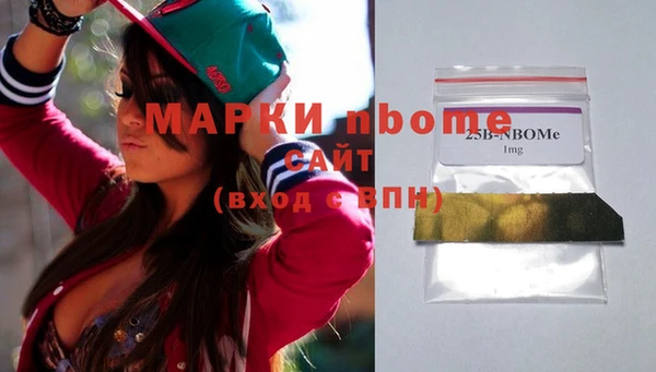 шишки Горно-Алтайск