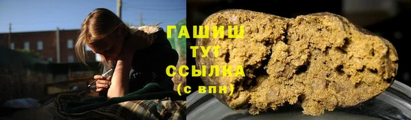 шишки Горно-Алтайск