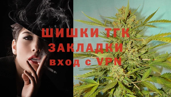 шишки Горно-Алтайск