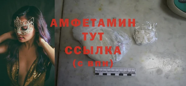 шишки Горно-Алтайск