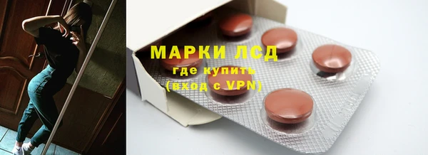 шишки Горно-Алтайск