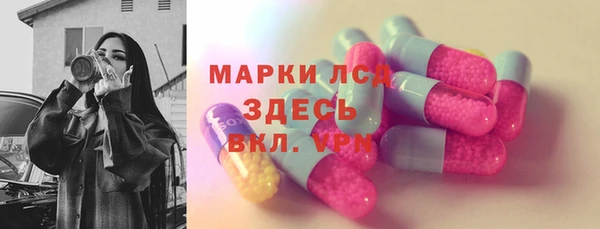 шишки Горно-Алтайск
