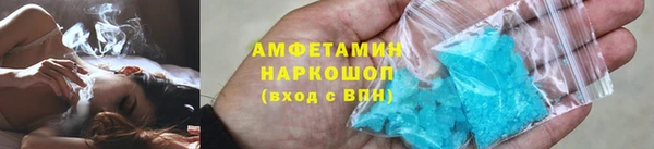 шишки Горно-Алтайск