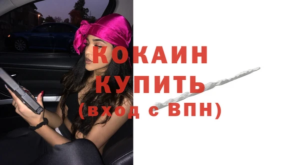 шишки Горно-Алтайск