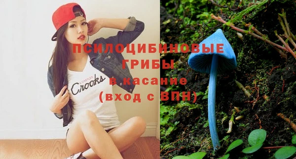 шишки Горно-Алтайск