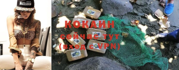 шишки Горно-Алтайск