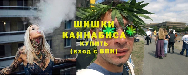шишки Горно-Алтайск