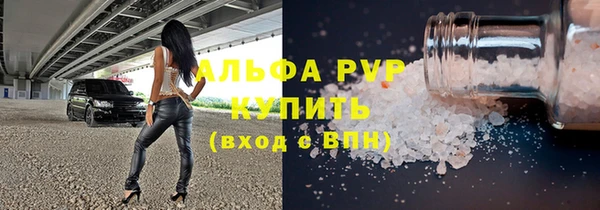 шишки Горно-Алтайск