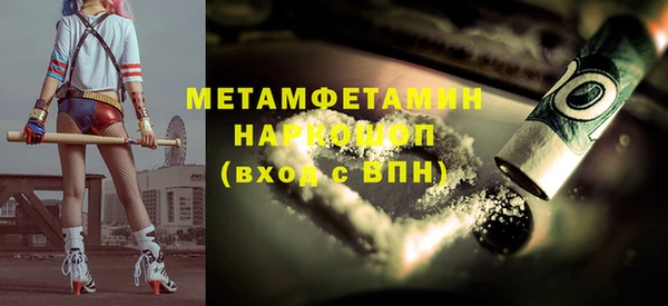 шишки Горно-Алтайск