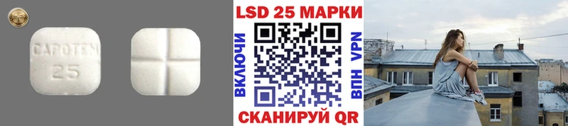 Купить закладки  Полярные Зори  Лсд 25 экстази кислота 