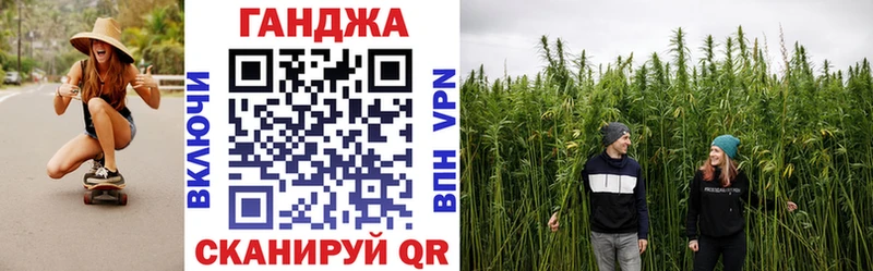 Бошки Шишки план  Купить где  Полярные Зори 